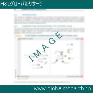グローバルリサーチ調査レポートのイメージ